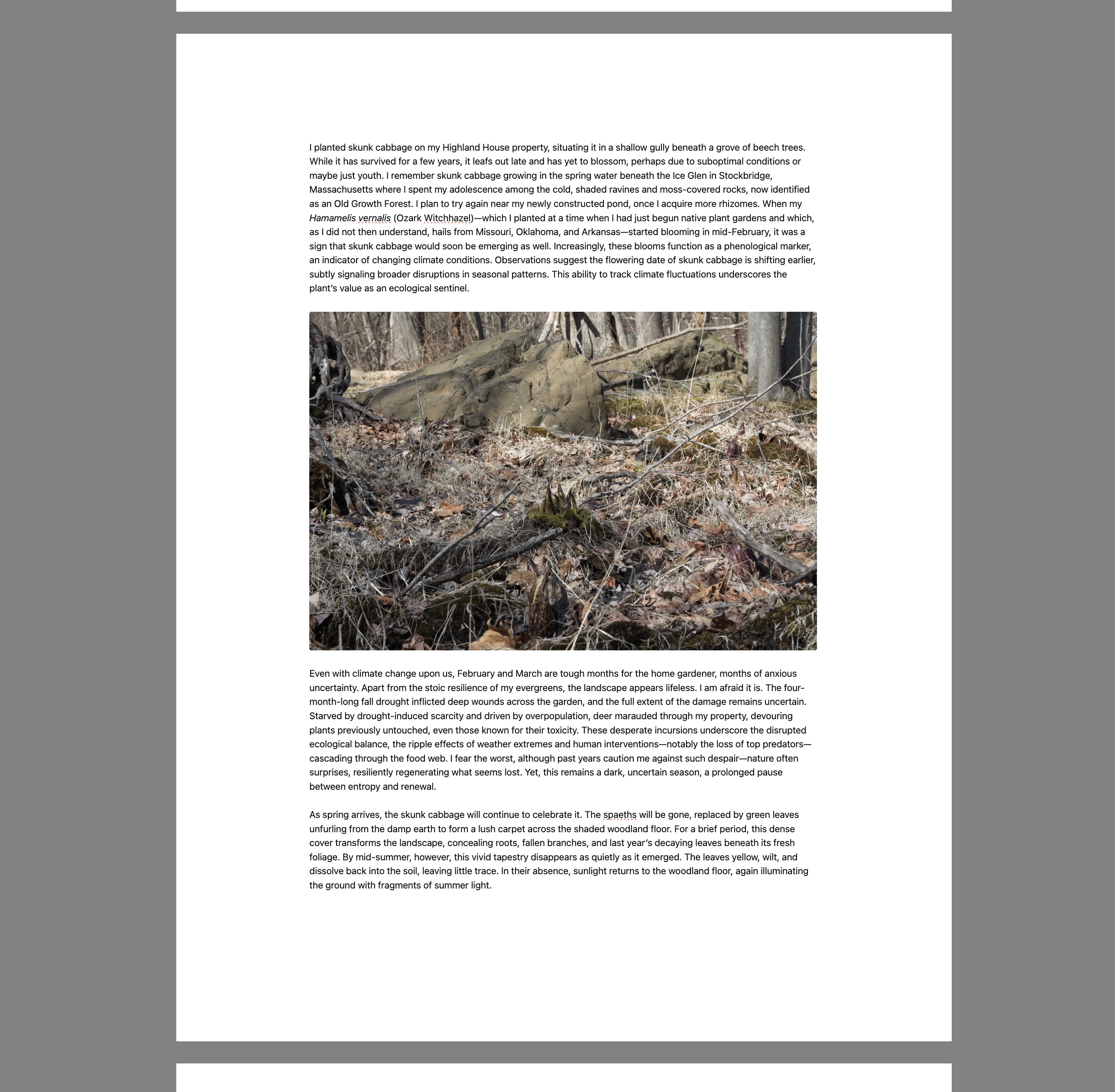 Composition Mode showing an Obsidian note as a paper-like page on a gray backdrop